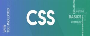 CSS入门：从零开始掌握网页样式-Yave520-专业开发者社区